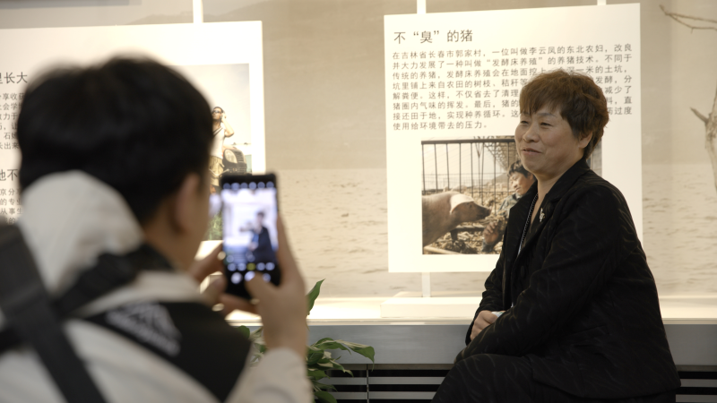 非线性庭审攻防
